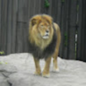 Meet your Posher, Neha